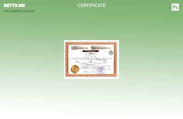 Модерен стил Аргентина извод за брак Шаблон за Word и PDF